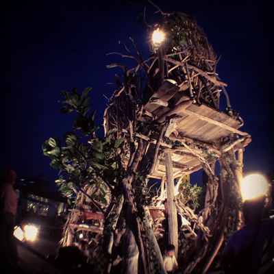 olloclip + instagram / treetower