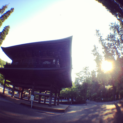 olloclip + instagram / 報国寺