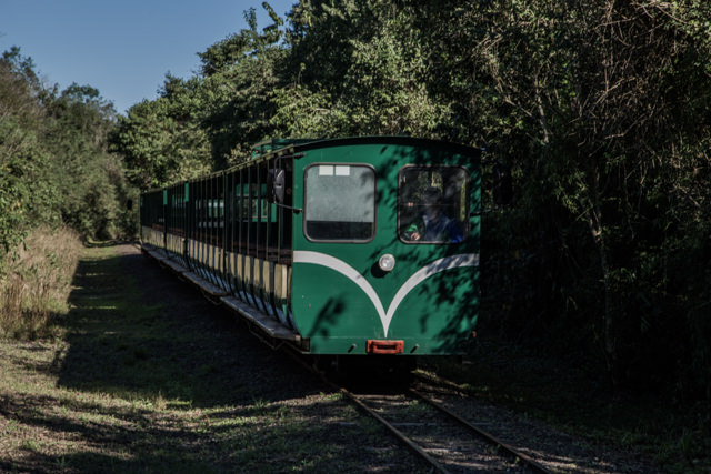 アルゼンチン側のイグアスの滝を走るトロッコ電車