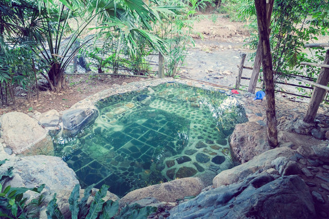 ほたるの湯