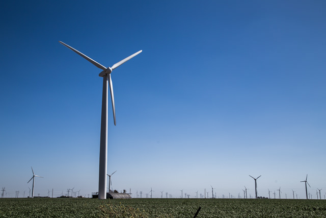 無数に立つ風力発電機