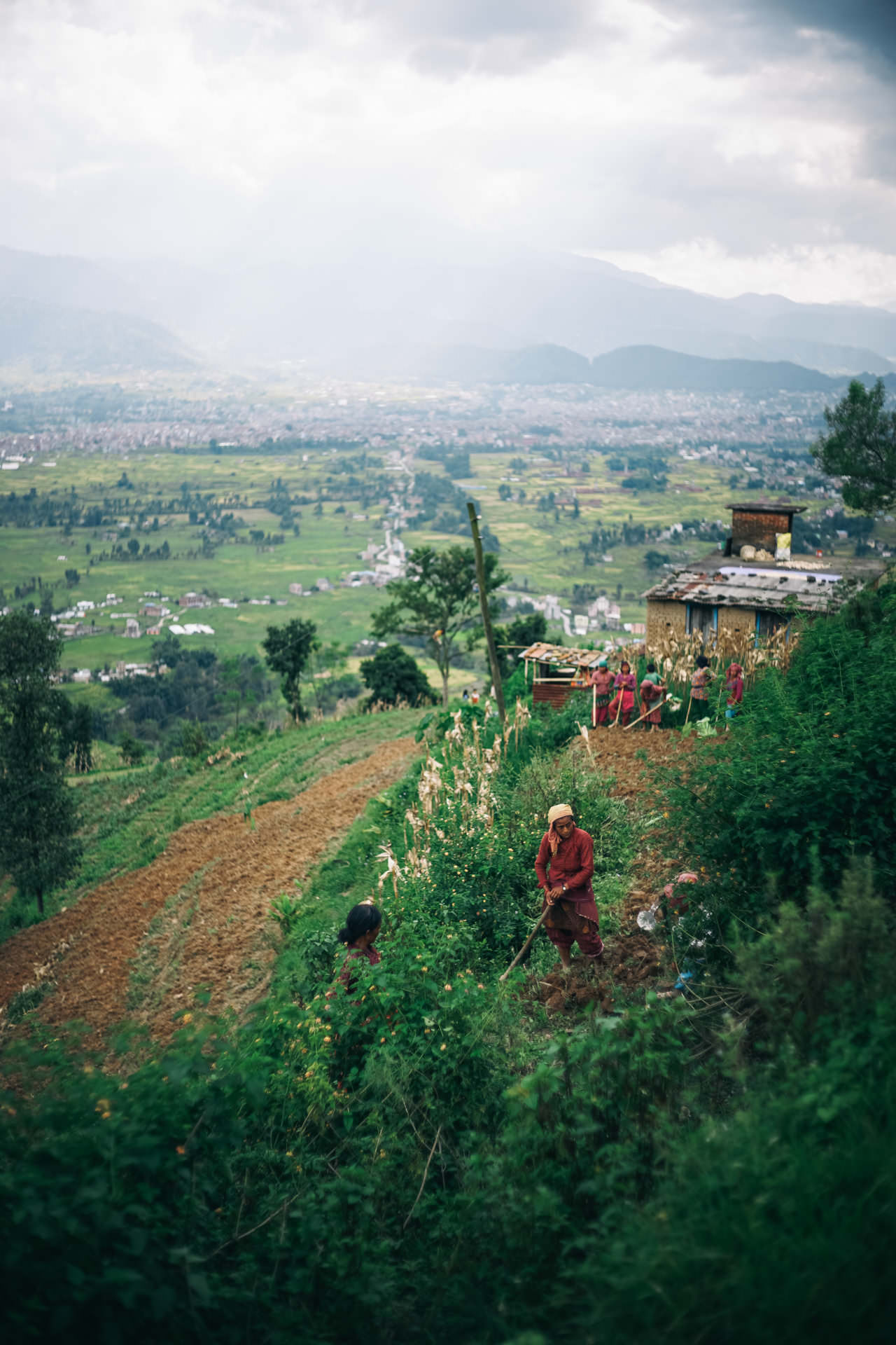 ネパールの田舎の暮らしを垣間見ることが出来ます